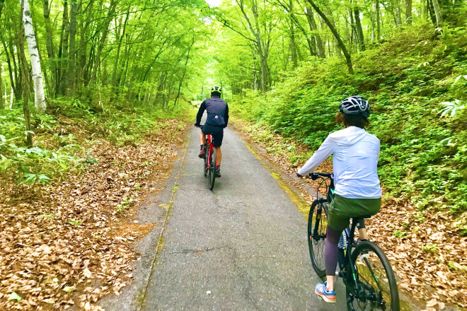 自転車に乗る2人の後ろ姿の写真